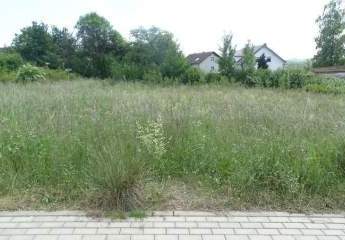 422554-Vorschaubild4