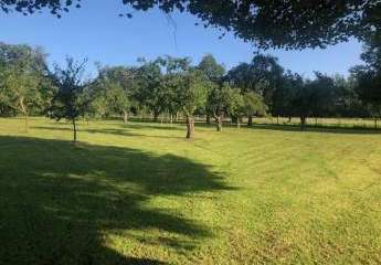 Obstgarten am Wörthsee: 5.462 m² eingezäuntes Freizeitgrundstück mit über 50 Obstbäumen!