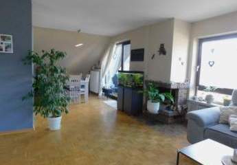 413316-Vorschaubild2
