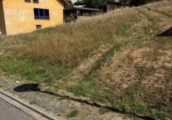 442907-Vorschaubild2