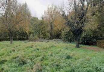 453383-Vorschaubild2