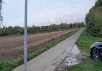 453383-Vorschaubild4