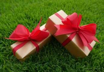 Bezugsfreie Dachgeschoss-Wohnung im Grünen