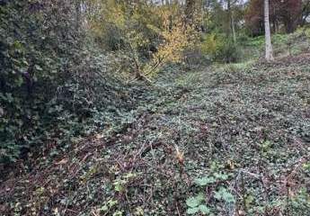 453577-Vorschaubild4