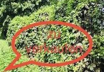 Interessantes Grundstück mit großem Entwicklungspotential