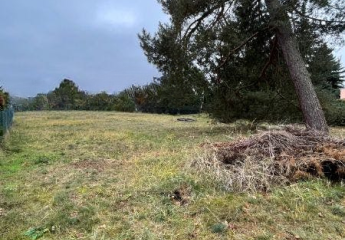 Sofort bebaubares großzügiges Baugrundstück im schönen Borgsdorf