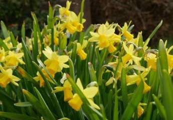 ZFH - Kapitalanlage - Mehrgenerationenhaus - Metropolregion - Nah am Vater Rhein - beste Wohnlage