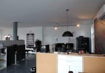 442562-Vorschaubild2