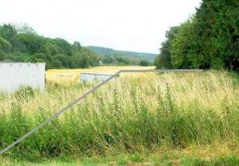 305816-Vorschaubild2