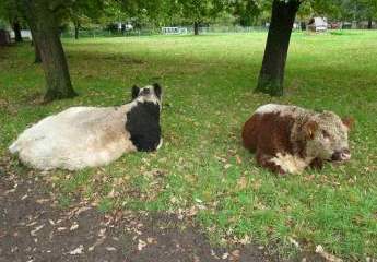 KAPITALANLAGE! Doppelhaushälfte mit 2 Wohneinheiten in bevorzugter Lage und Baumöglichkeit. RENDITE