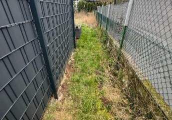 412231-Vorschaubild3