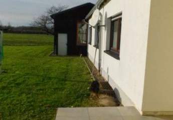 460341-Vorschaubild3