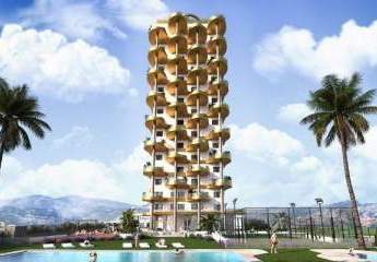 347696-Vorschaubild2