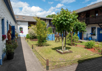 448451-Vorschaubild4