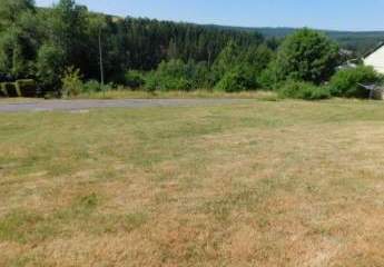 wohnen im Naturpark Hunsrück-Hochwald - erschlossenes 806qm großes Baugrundstück in unverbaubarer Lage