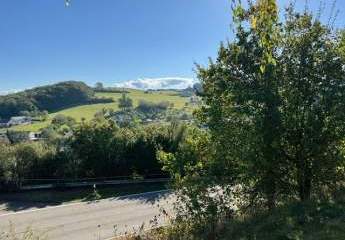 383317-Vorschaubild2