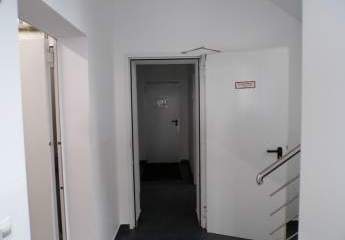 442562-Vorschaubild4