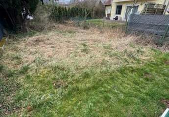 412231-Vorschaubild4