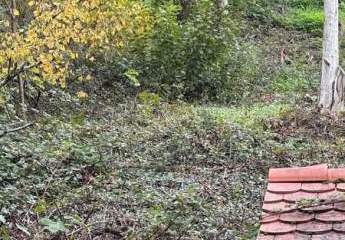 Am Rand des Pfälzer Waldes - Rheinebene vor sich - Auf den Spuren von Max Slevogt - 1 B Lage