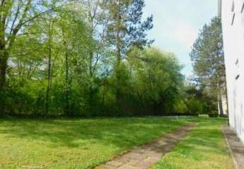 419961-Vorschaubild3