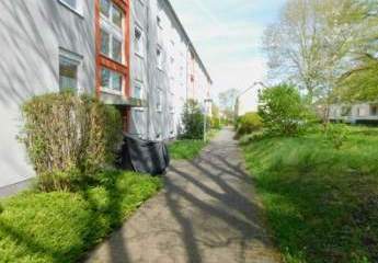 419961-Vorschaubild4