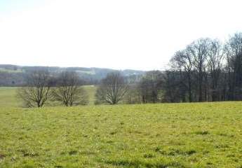 472503-Vorschaubild2