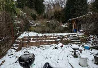 469234-Vorschaubild3