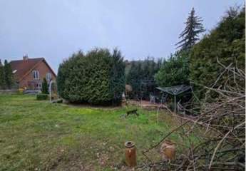 410720-Vorschaubild3