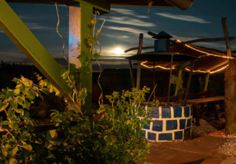 448451-Vorschaubild3