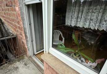 449557-Vorschaubild4