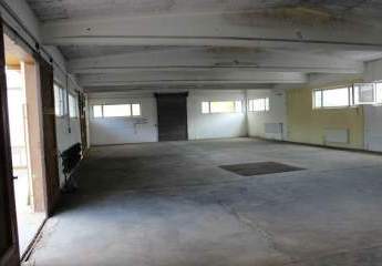 307581-Vorschaubild2