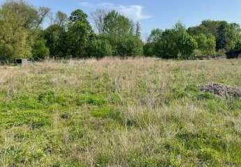 Baugrundstück in Wunschgröße - Verwirklichen Sie Ihren Traum vom Eigenheim in ländlicher Idylle