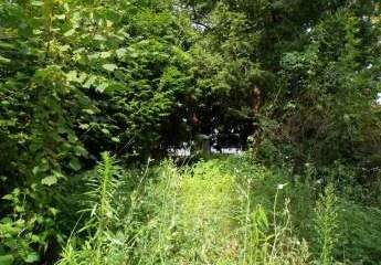 378879-Vorschaubild2