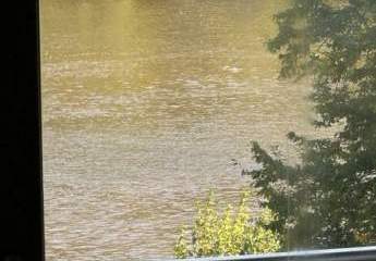 477193-Vorschaubild2