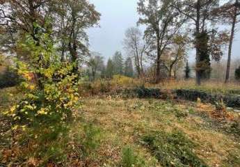 390169-Vorschaubild2