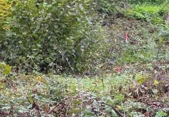 453577-Vorschaubild3