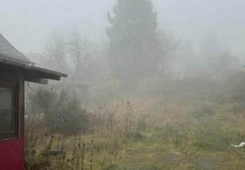 457126-Vorschaubild2