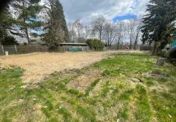 293526-Vorschaubild2