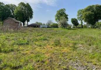 357197-Vorschaubild2