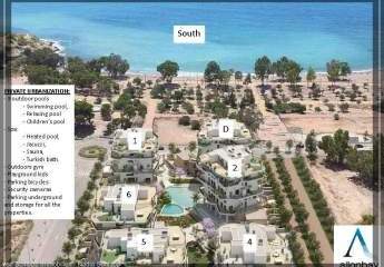 345222-Vorschaubild2