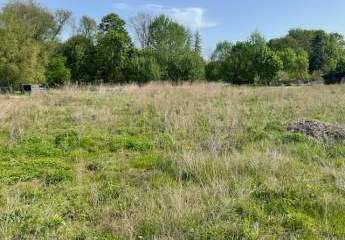 357196-Vorschaubild2