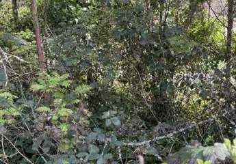 479730-Vorschaubild2