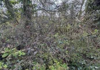 479730-Vorschaubild3