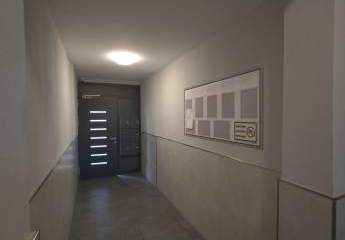 481511-Vorschaubild2