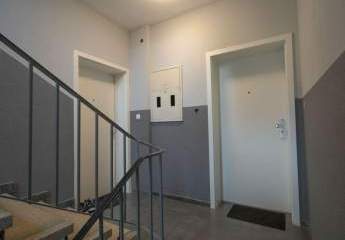 481511-Vorschaubild3