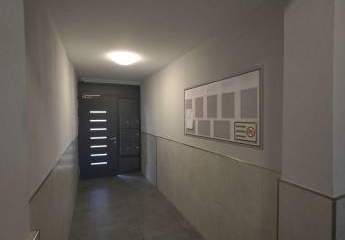 481509-Vorschaubild2