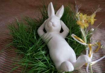 Großzügig wohnen in ruhiger Lage