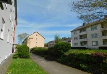 419961-Vorschaubild3