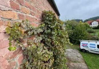 449557-Vorschaubild2