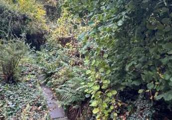 453577-Vorschaubild2